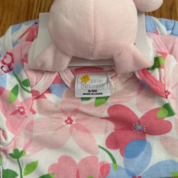 Little Chickadees Baby Girl Set of 3 Easter/Spring Onesies w/Matching Rattle - Picture 7 of 10